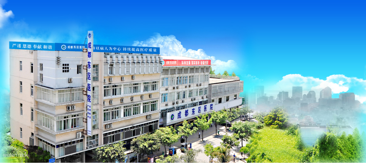 四川省成都東區醫院——疫情防控智慧測溫人臉識別健康碼及豪華小擺閘門禁通行項目