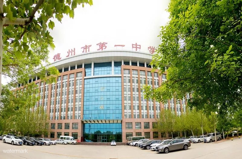 山東名校——德州市第一中學測溫人臉識別+智能通行小擺閘門禁項目