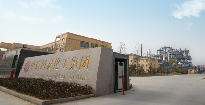 中國500強(qiáng)——中信國安化工集團(tuán)