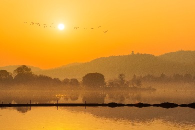 國家AAAA級景區——湖北九峰國家森林公園九峰森林動物園