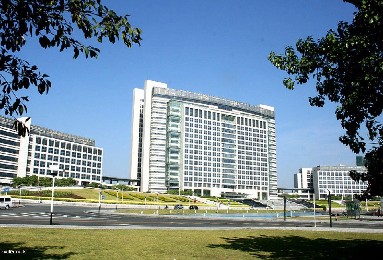 東莞市濱海灣新區管理委員會