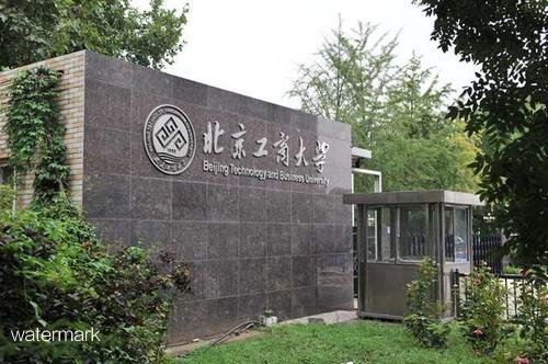 北京重點建設研究型大學——北京工商大學翼閘擺閘項目