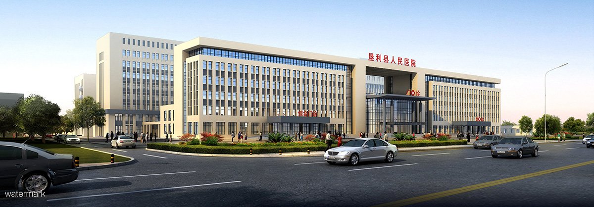 山東省東營市第五人民醫(yī)院——人臉測溫健康通行碼擺閘項(xiàng)目