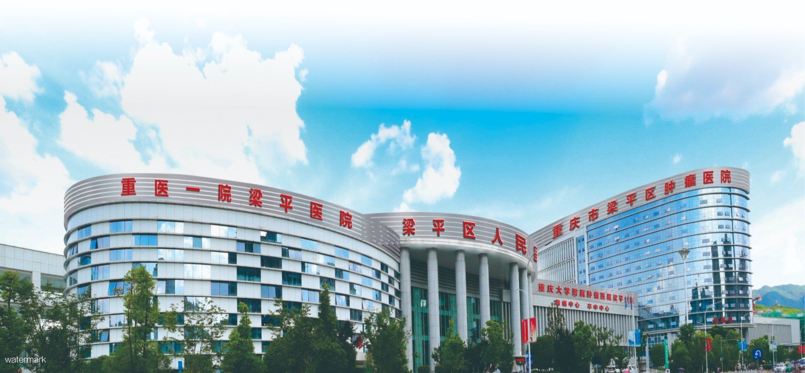 重慶大學附屬腫瘤醫院梁平區人民醫院--測溫人臉渝康碼擺閘項目