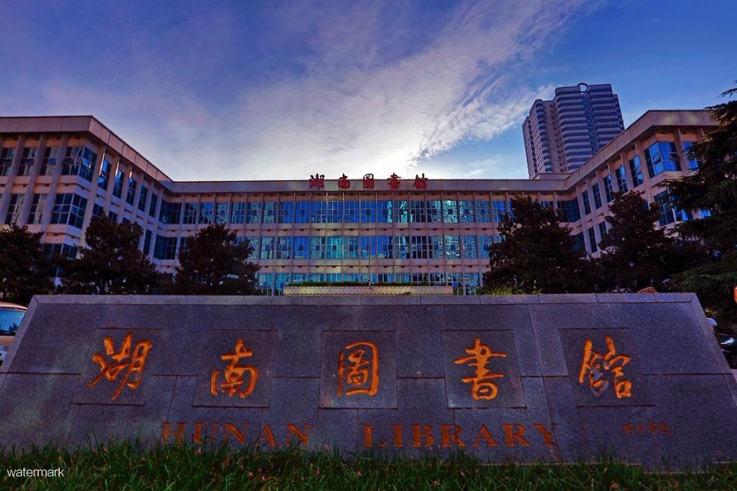 湖南圖書館——防疫智能豪華小擺閘項目