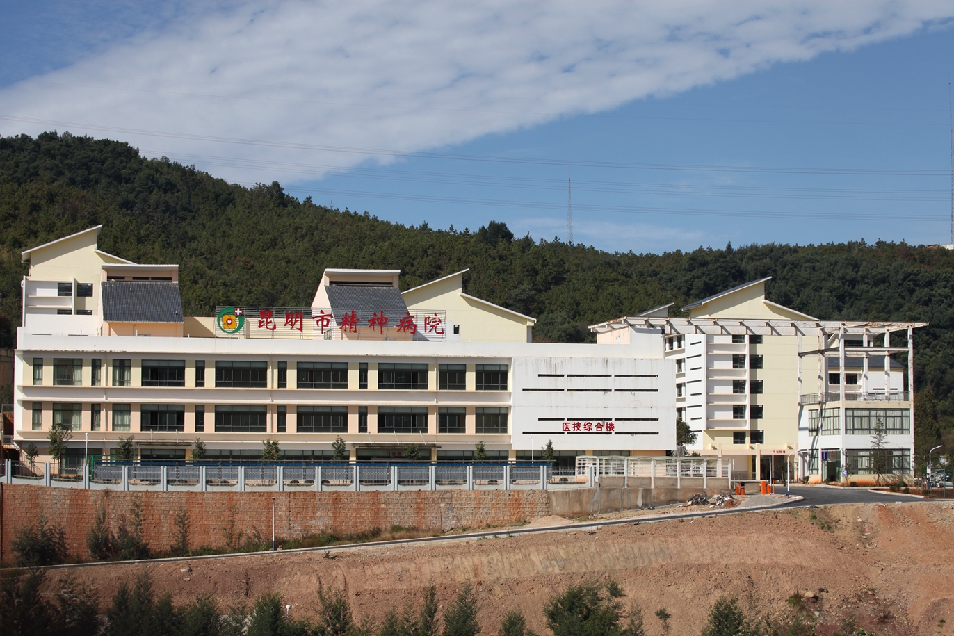 云南中醫藥大學附屬精神病醫院——昆明市精神病院智能防疫健康碼測溫人臉識別小擺閘項目