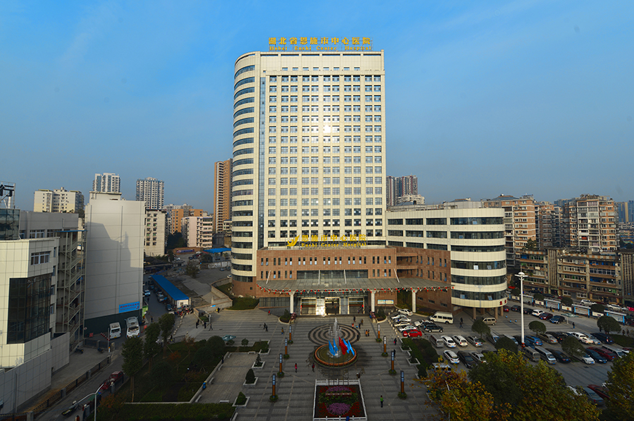 湖北省恩施市中心醫院——食堂人臉通道消費閘機項目