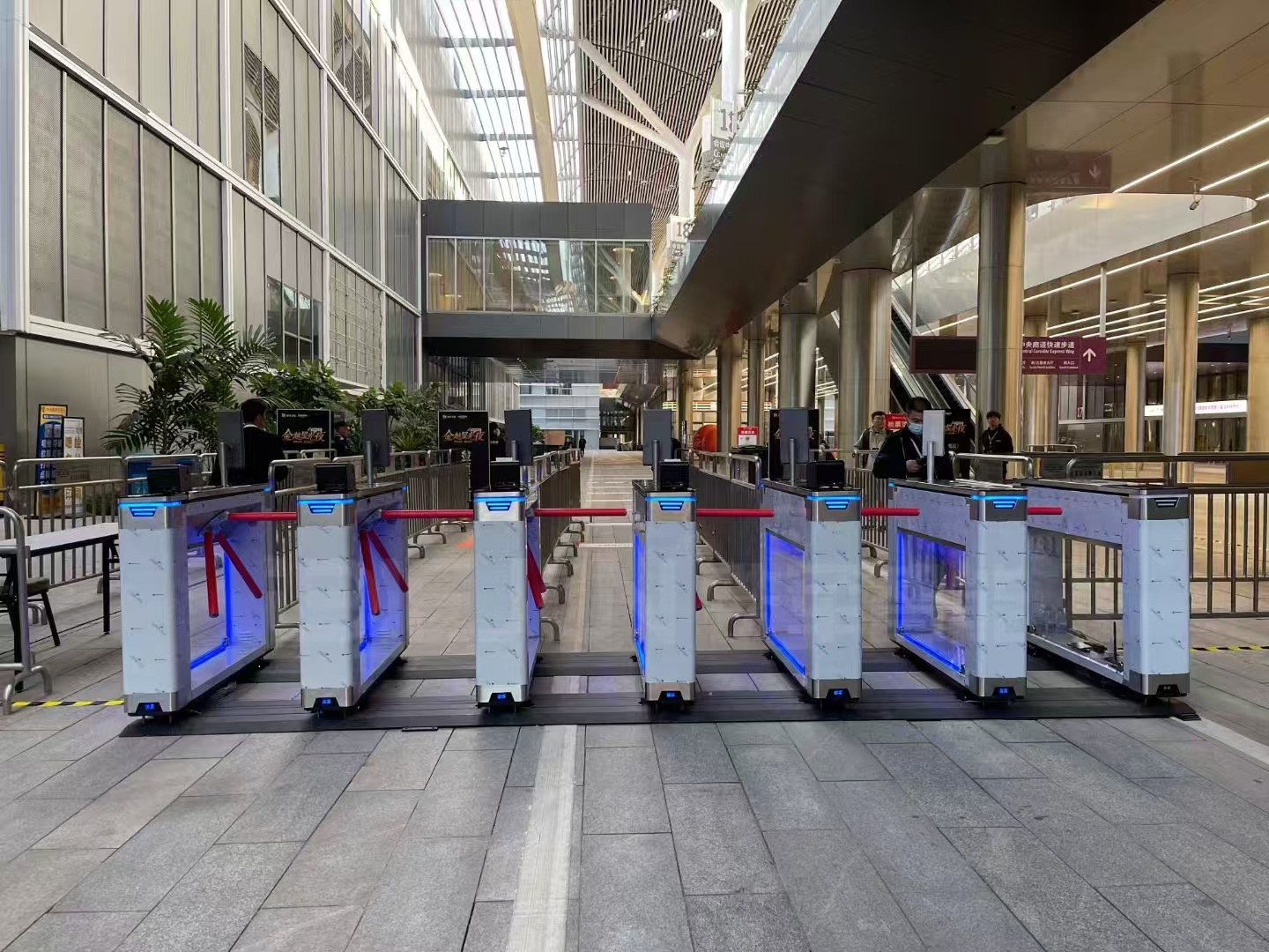 1735529578968511.jpg 5.jpg