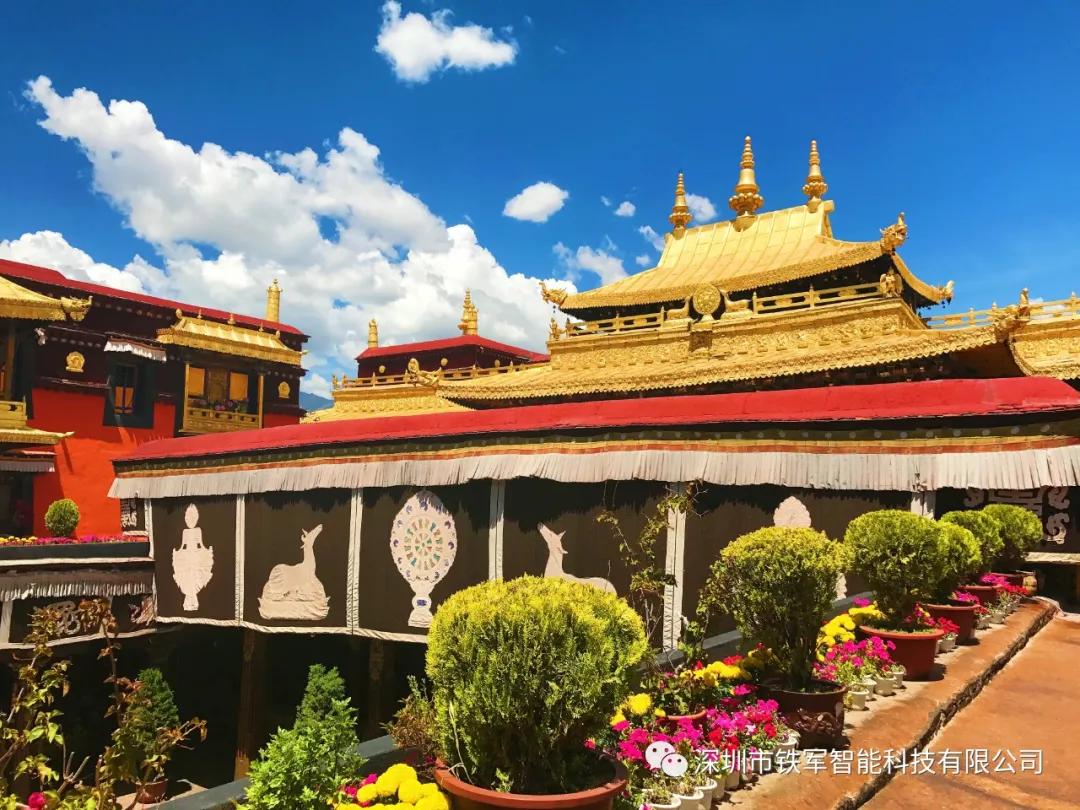 1742345816214319.jpg 1742345816214319.jpg