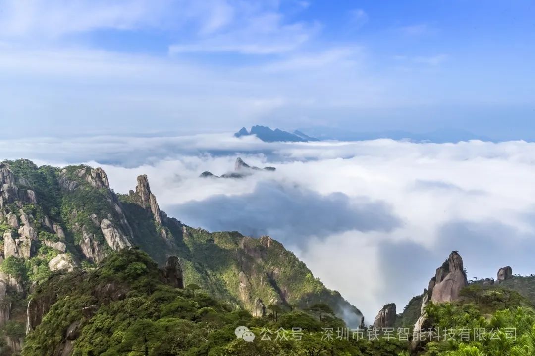 1746759432618043.jpg 4.jpg