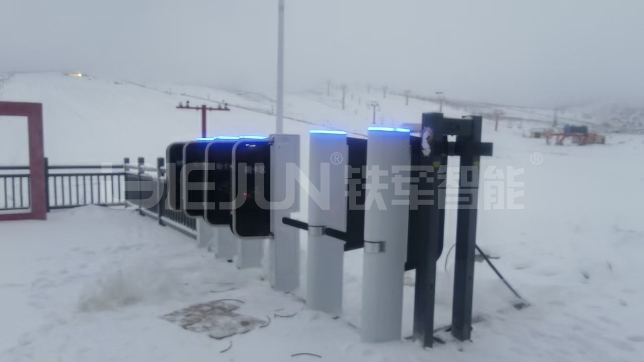 1759113145197291.jpg 4.jpg