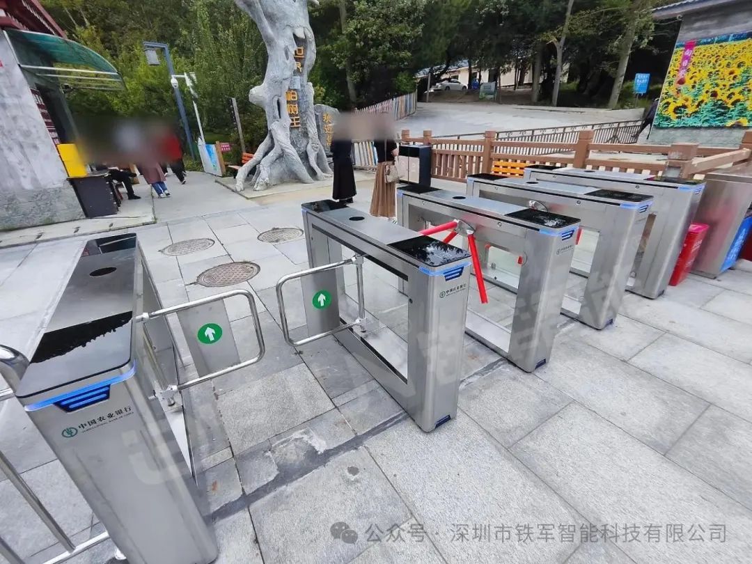 1762313843771085.jpg 5.jpg