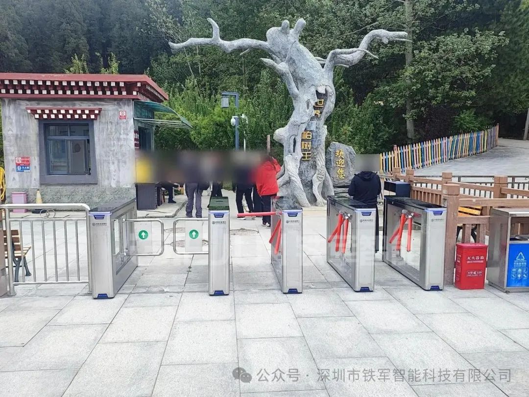 1762842284236896.jpg 4.jpg