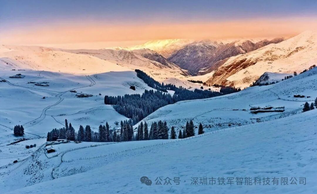 1765953489132181.jpg 1.jpg