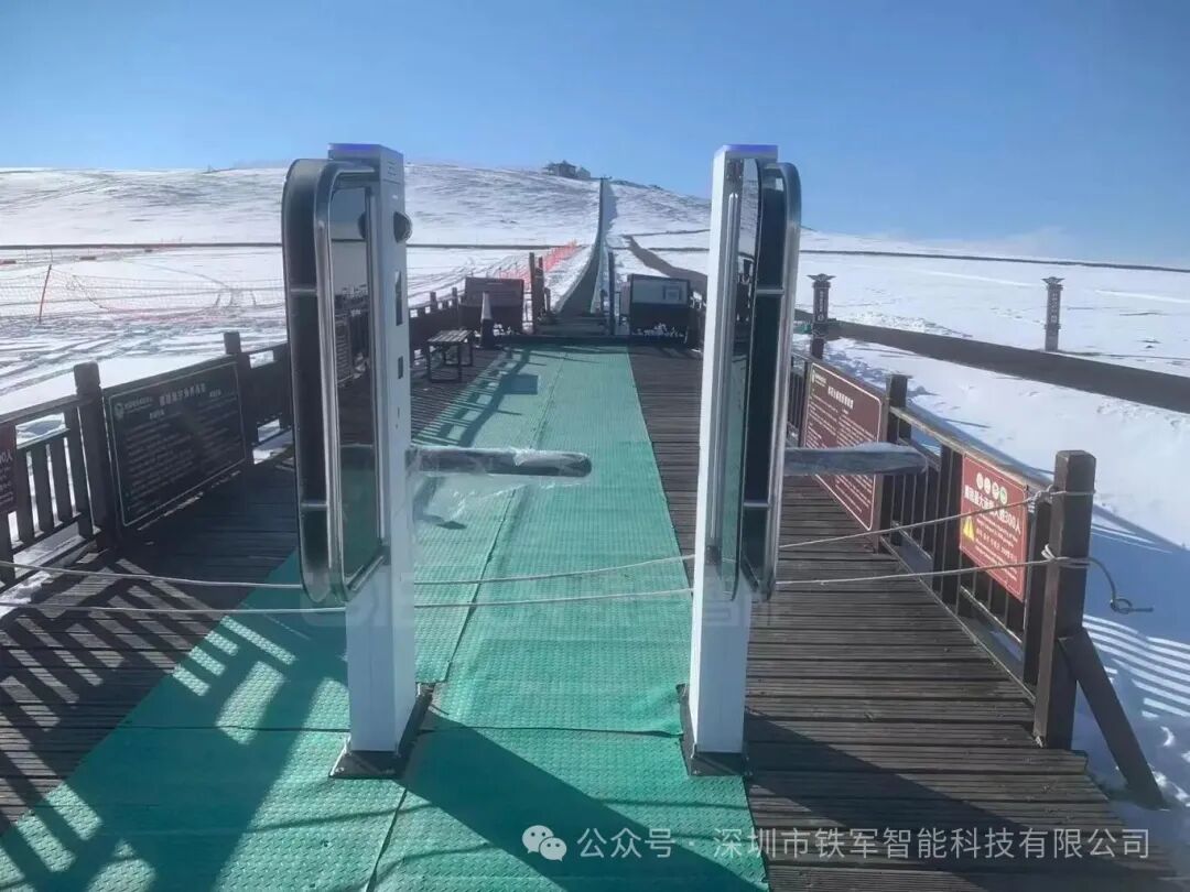 1765953506108600.jpg 4.jpg